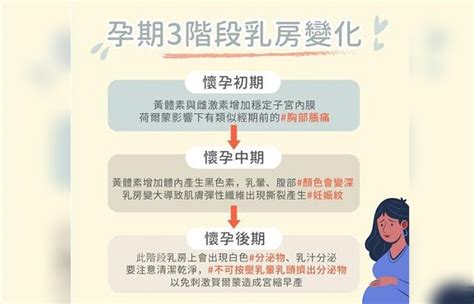 乳暈生毛|乳暈的 8大變化